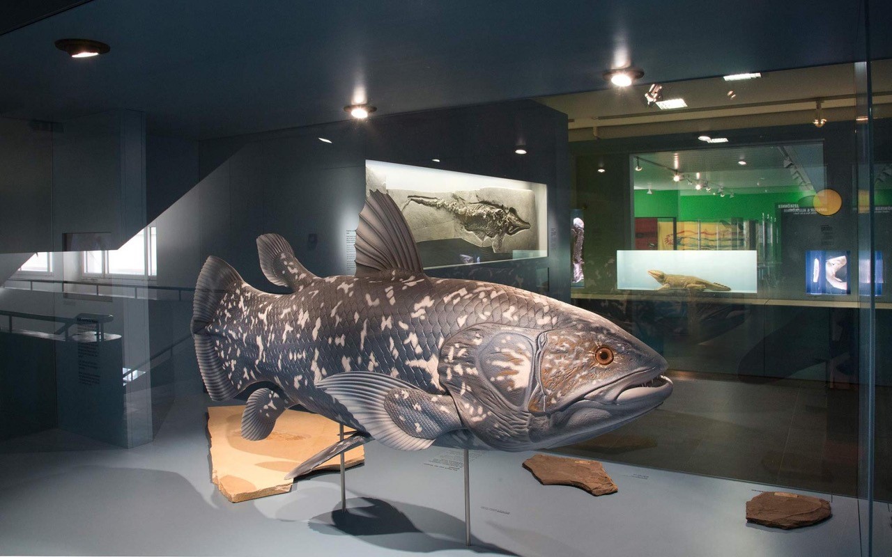 Naturhistorisches Museum Bern Museum in Bern Öffnungszeiten Adresse